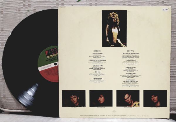 Lp  Robert Plant      Ten From Forty Seven