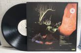 Lp  Echo And The Bunnymen      Crocodiles